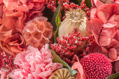 What Is the Difference Between Dried Flowers and Preserved Flowers?